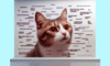 Cat Meme Guide for Attaining Feline Internet Stardom