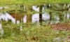Stormwater Drain Solutions in Wollongong: Common Causes