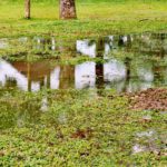 Stormwater Drain Solutions in Wollongong: Common Causes