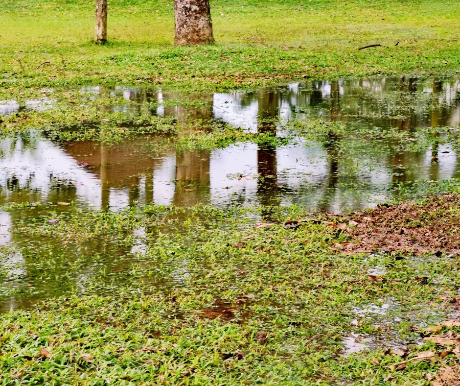 Stormwater Drain Solutions in Wollongong: Common Causes