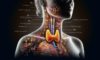 Thyroid Blood Test Service: Reliable and Quick in Aylesbury
